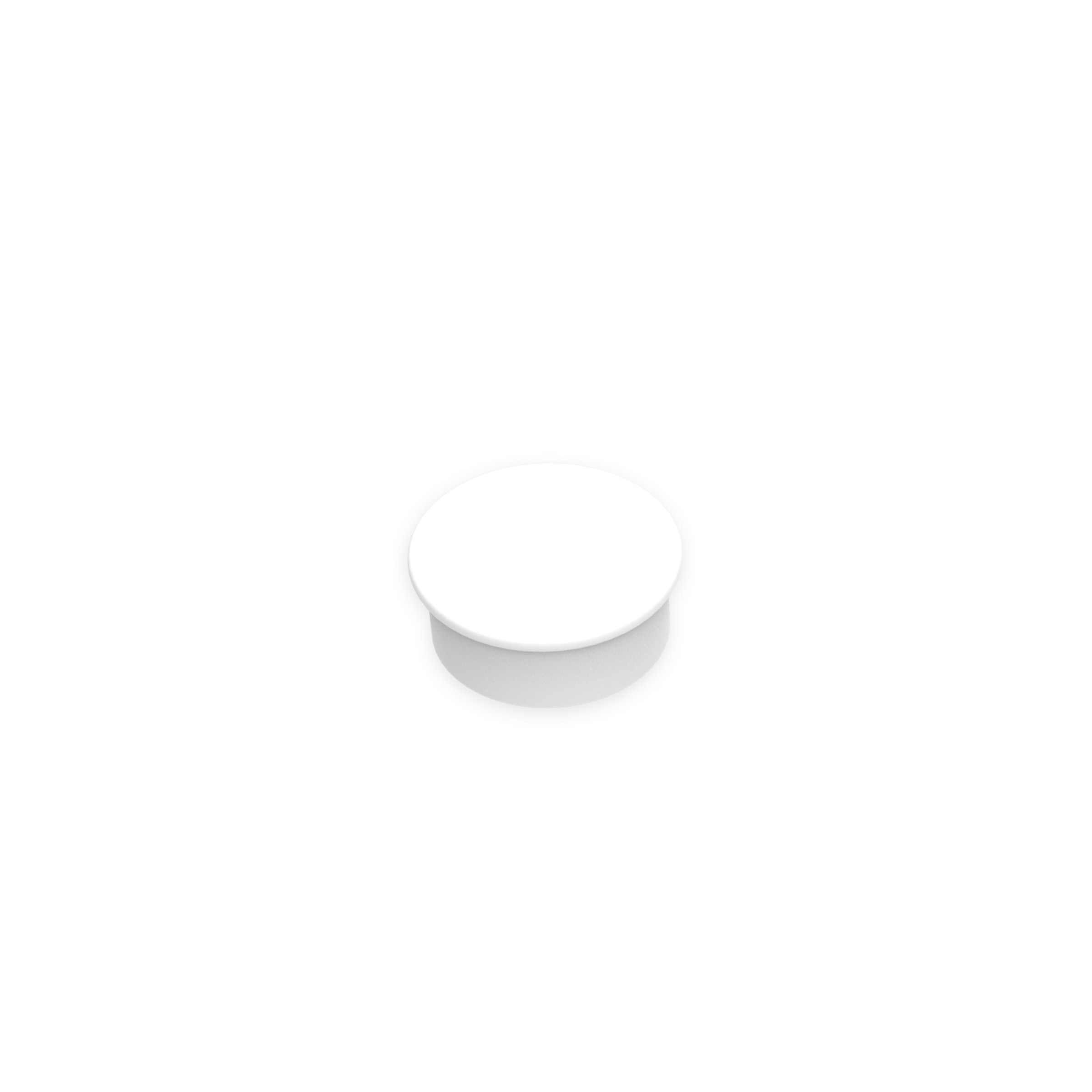 File name: Small-white-noprint.jpg
Dimensions: 2400 x 2400 pixels
File size: 46.95 KB