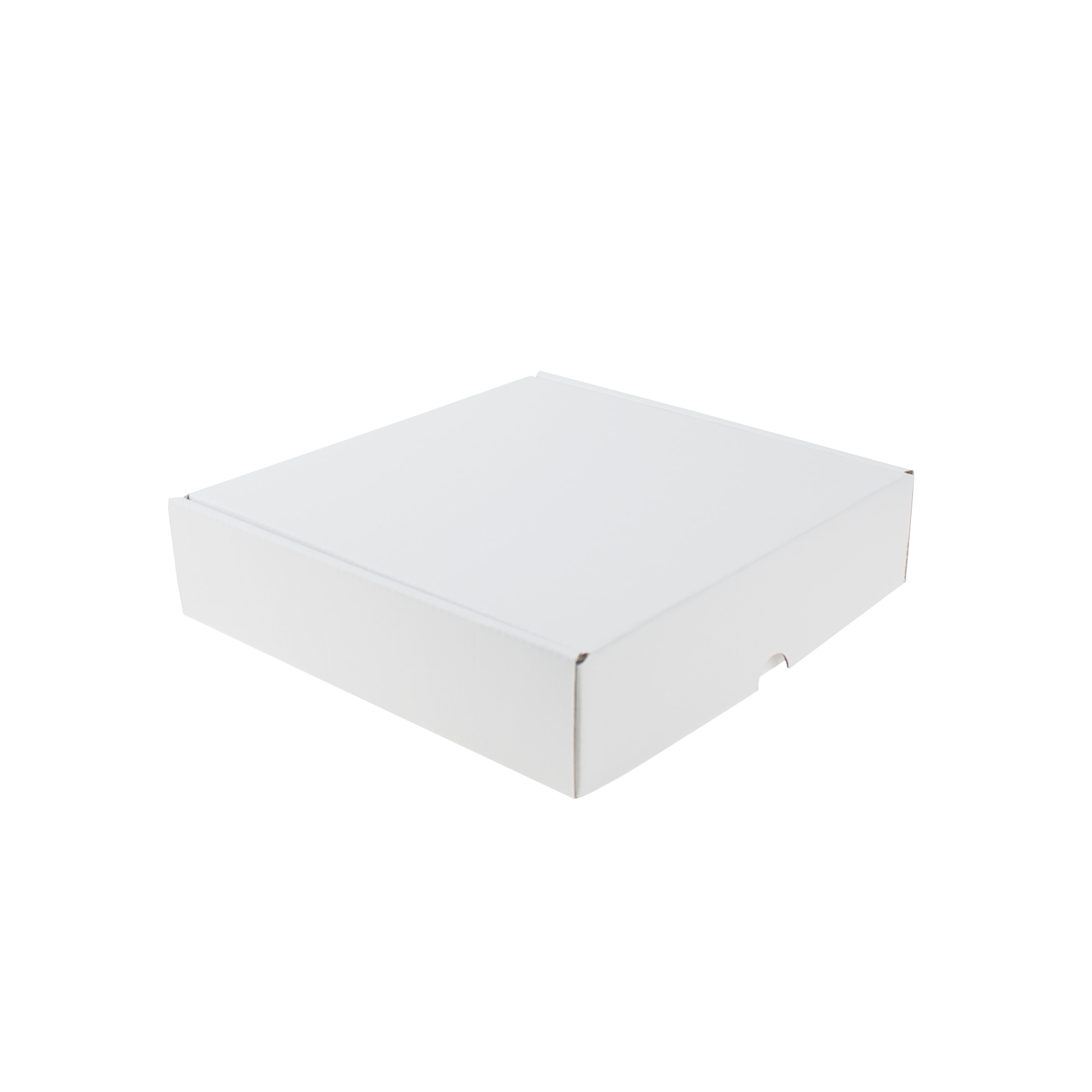 Dateiname: PABX05SV(color=white,print=none,variant=1).jpg
Maße: 2400 x 2400 Pixel
Dateigröße: 60.05 KB