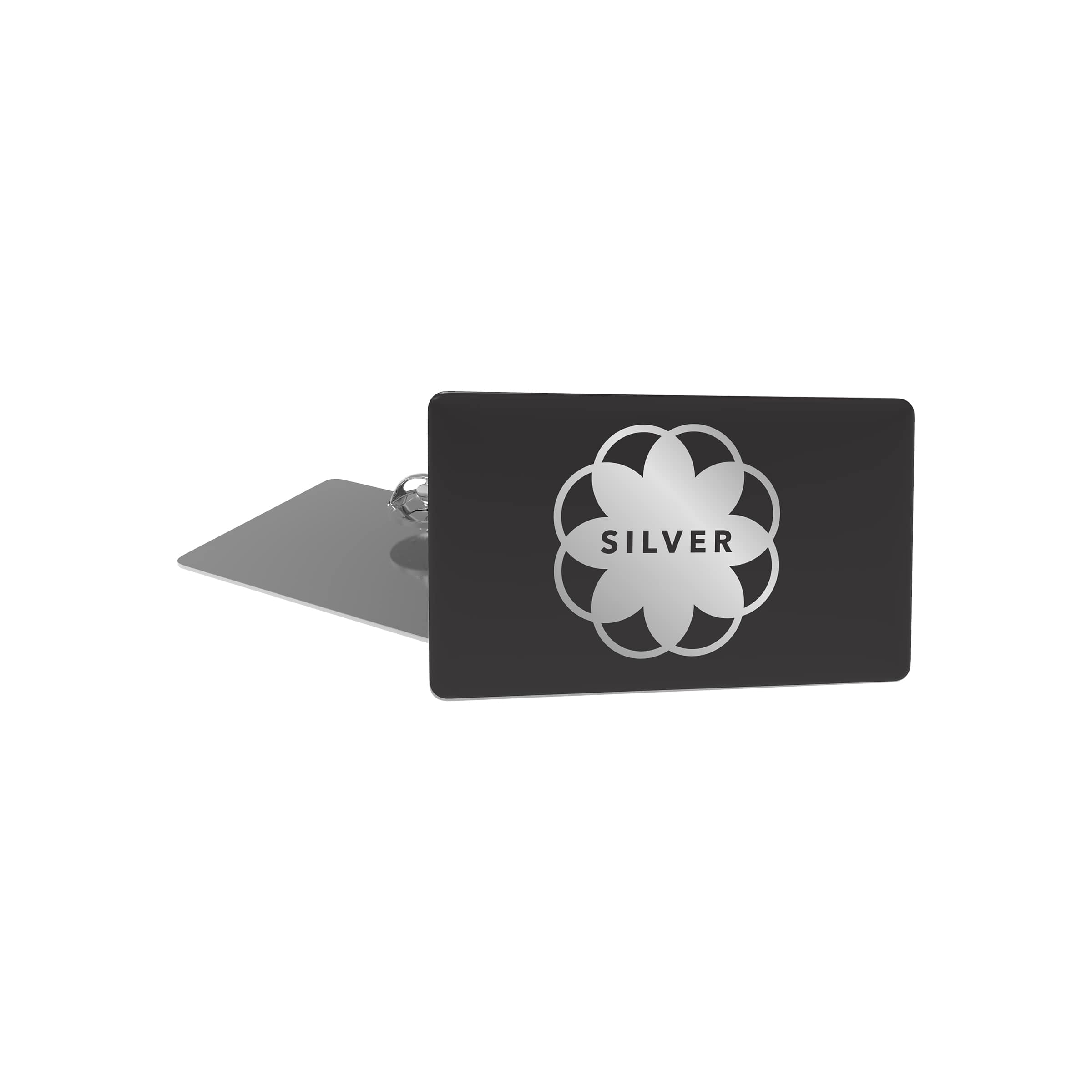 Nombre del fichero: BpSlim(color=silver,print=doming,shape=rectangular,attach=pinandclutch,variant=1).jpg
Dimensiones: 2400 x 2400 píxeles
Tamaño del fichero: 39.33 KB