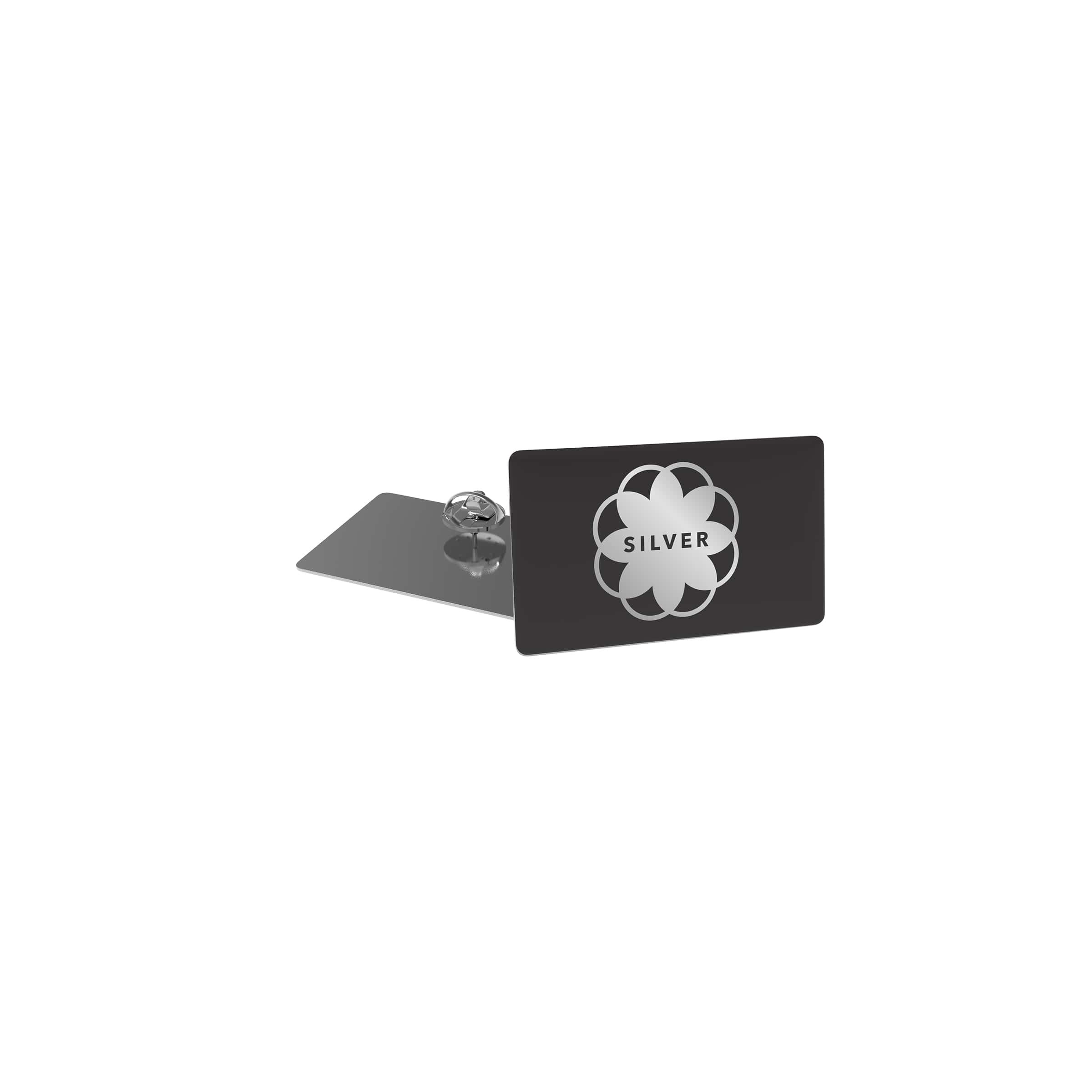 Nombre del fichero: BpSlim(color=silver,print=doming,shape=rectangular,attach=pinandclutch,variant=2).jpg
Dimensiones: 2400 x 2400 píxeles
Tamaño del fichero: 31.09 KB